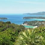 thailand-surfing-reef thailand-surfing-reef